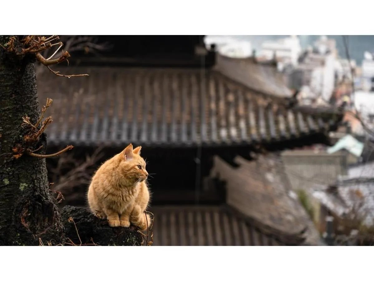 酒店 Webase Hiroshima - Vacation Stay 21855V