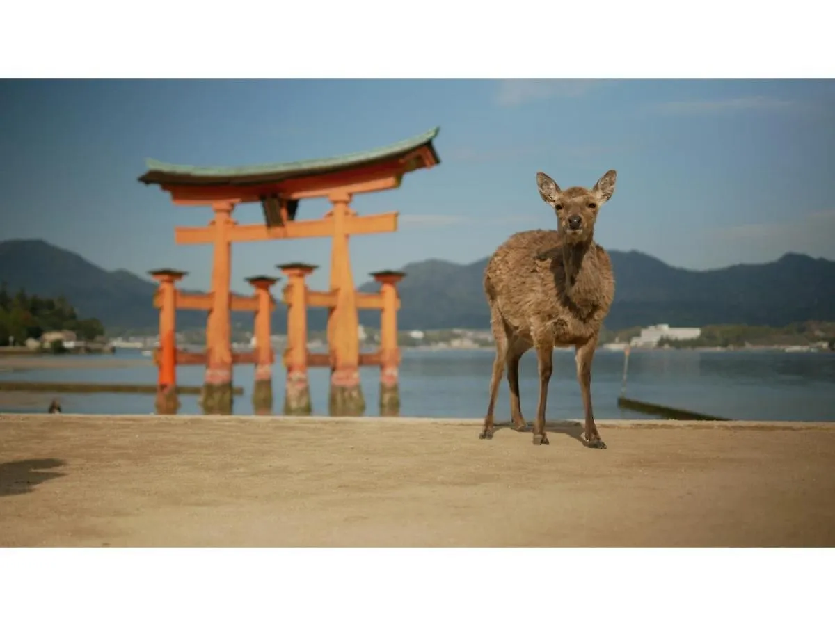 Webase Hiroshima - Vacation Stay 21855V Hotel
